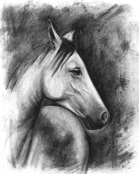 3-UP Charcoal Equestrian Portrait I