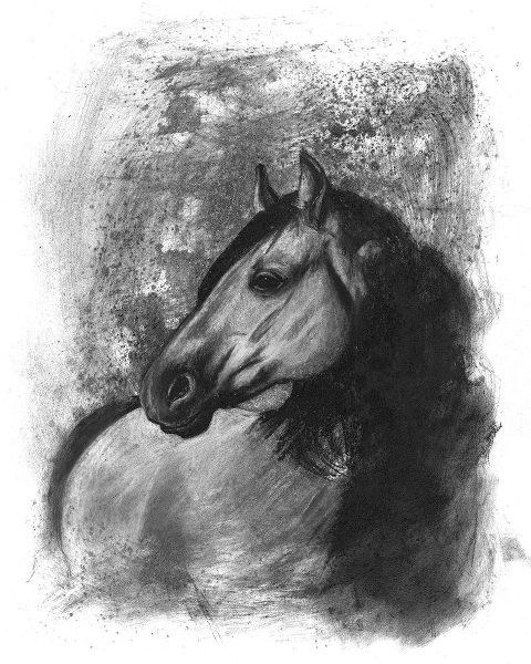 3-UP Charcoal Equestrian Portrait IV