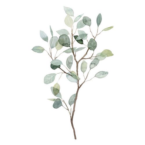 Seaglass Eucalyptus I