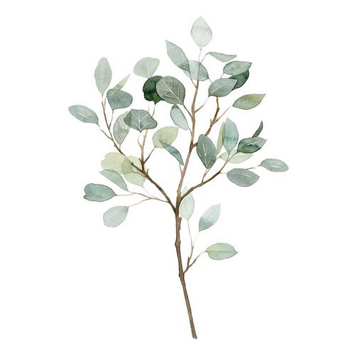 Seaglass Eucalyptus II