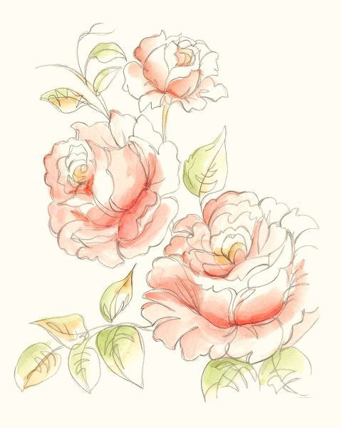Watercolor Floral Variety IV