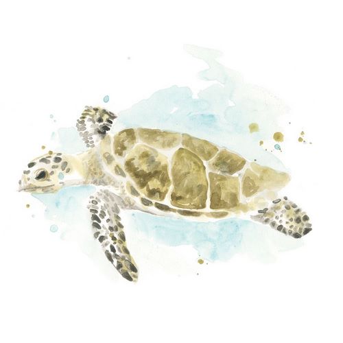 Watercolor Sea Turtle Study II