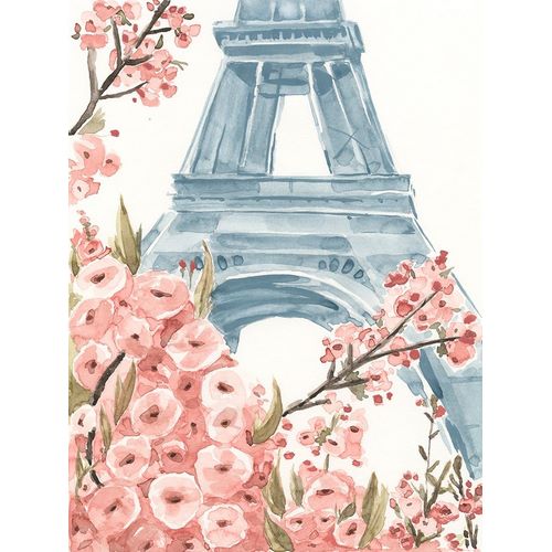 Paris Cherry Blossoms I