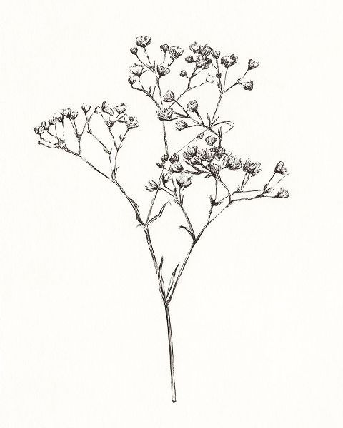 Warren, Annie 아티스트의 Wild Bloom Sketch I 작품