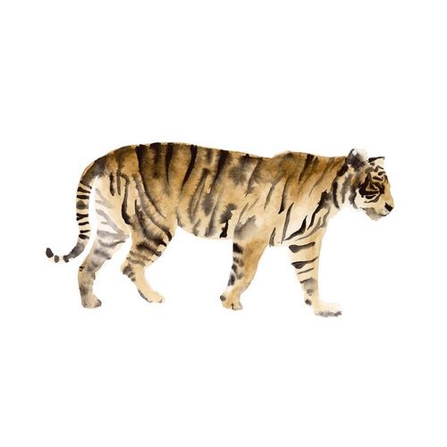 Watercolor Tiger IV