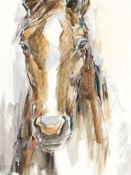 Gift Horse II