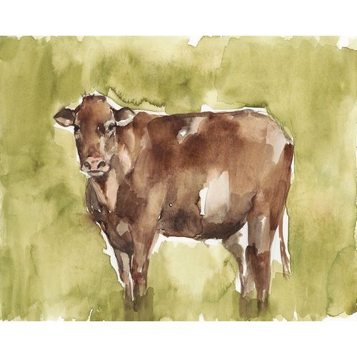 Cow in the Field II