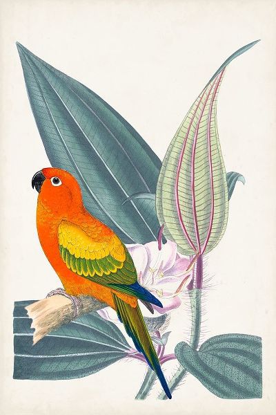 UA Tropical Bird and Flower IV