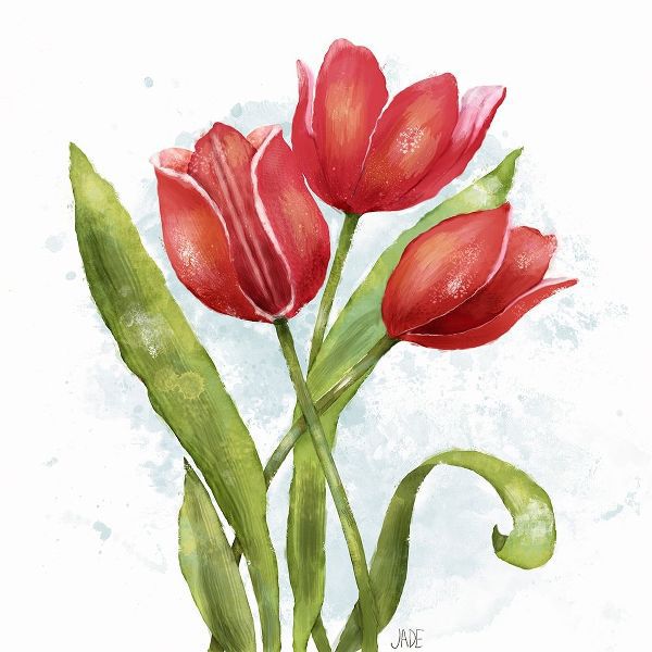 Red Tulip Splash II
