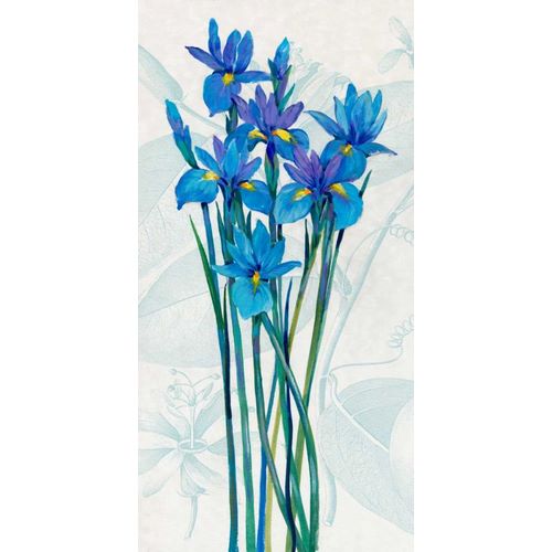 Blue Iris Panel I