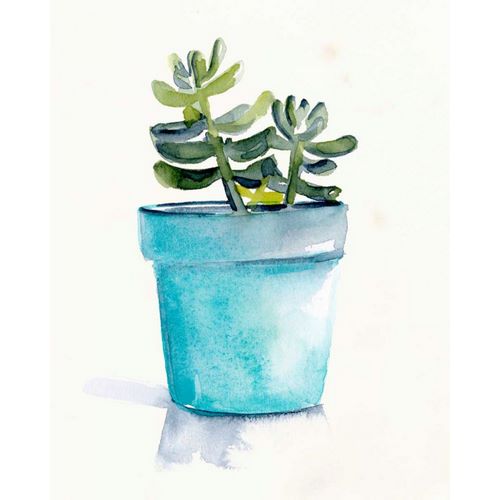 Potted Succulent II