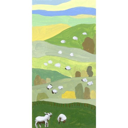 Mountain Sheep I