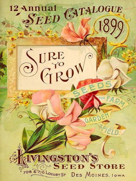 Antique Seed Packets VIII