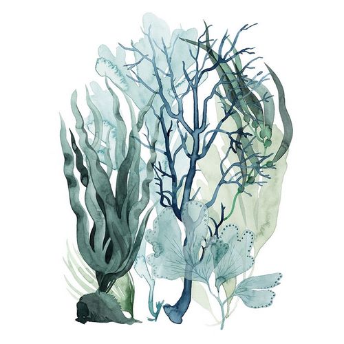 Sea Leaves IV