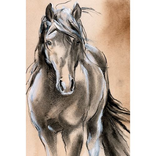 Sketched Horse II