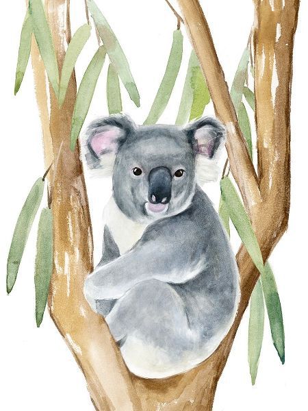 Woodland Koala I