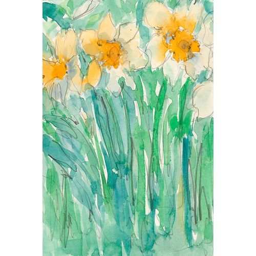 Daffodils Stems I