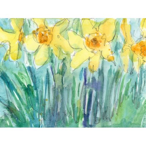 Daffodil Blooms I