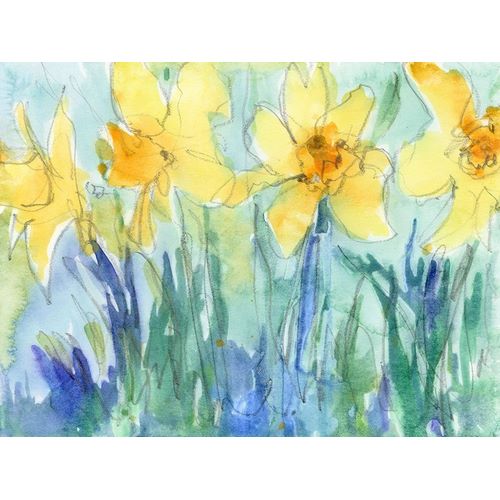 Daffodil Blooms II