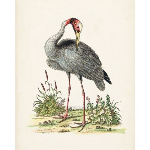 Antique Heron and Cranes I