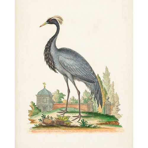 Antique Heron and Cranes II