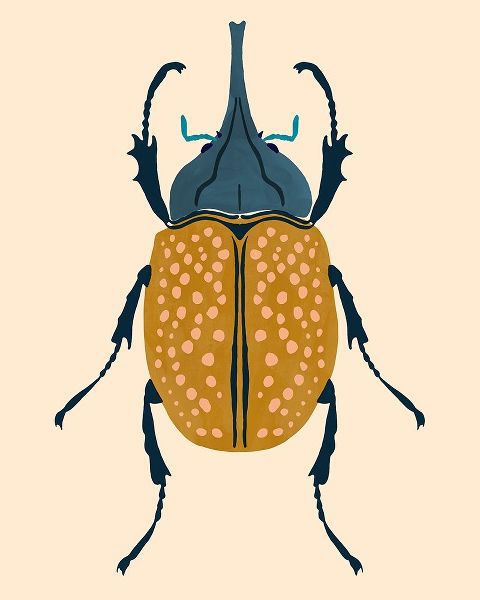Beetle Bug II