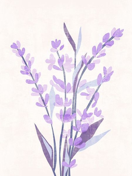 Lavender Land II