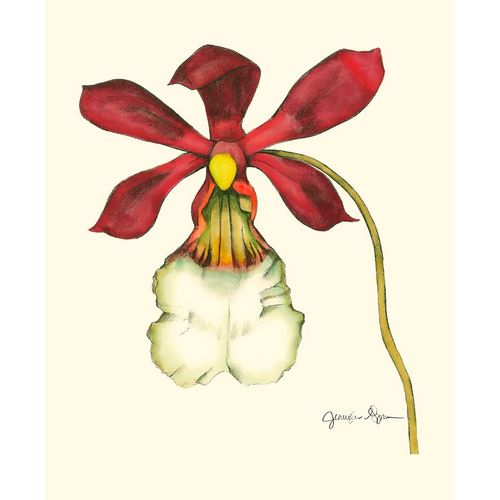 Majestic Orchid II