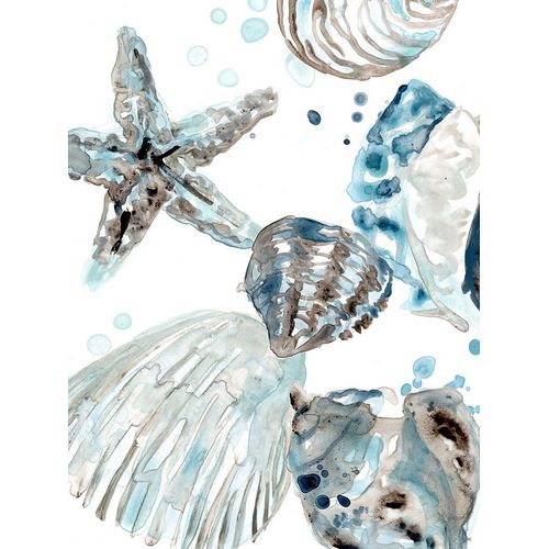 Cerulean Seashells II