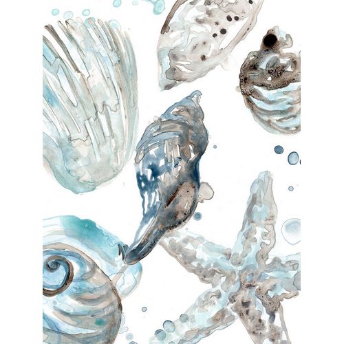 Cerulean Seashells III