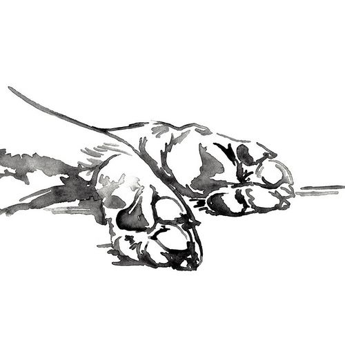 Linear Paws I