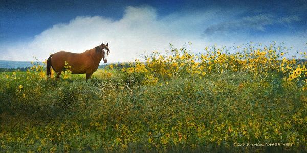 Horse in Flowers I