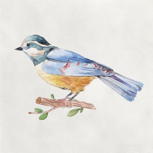 Bird Sketch V