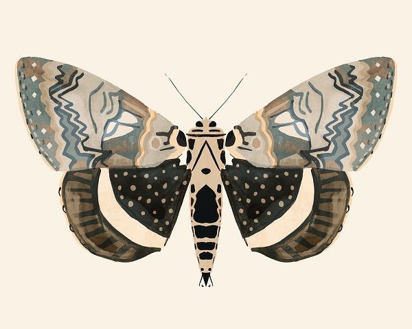 Neutral Moth I