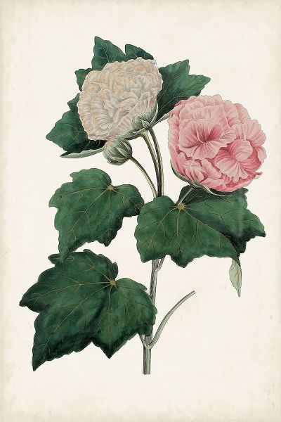 Vintage Rose Clippings II