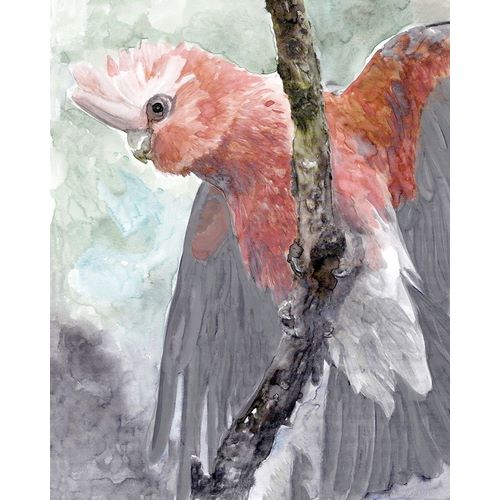 Tropic Parrot II