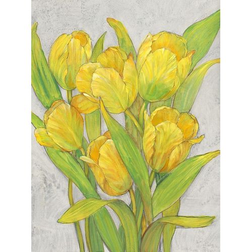 Yellow Tulips I