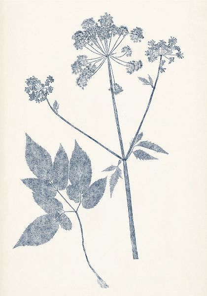 Navy Botanicals IV
