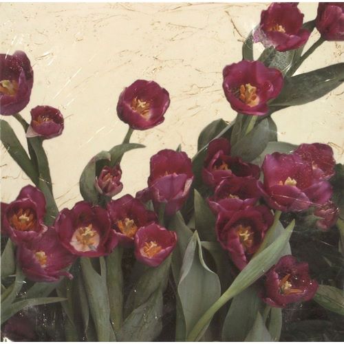Meagher, Megan 아티스트의 Spring Tulips II 작품