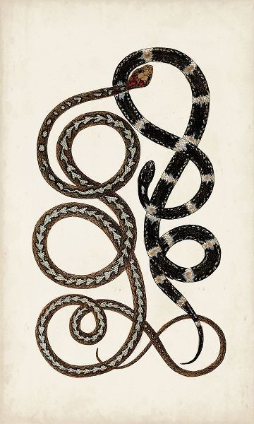 Antique Snakes II