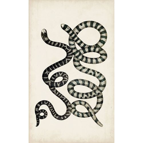 Antique Snakes VI