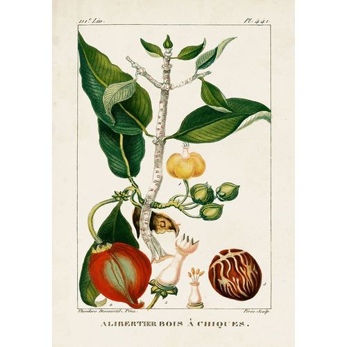 Turpin Foliage and Fruit III