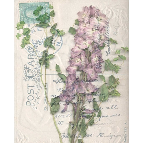 Postcard Wildflowers I