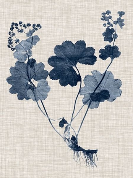 Navy and Linen Leaves IV