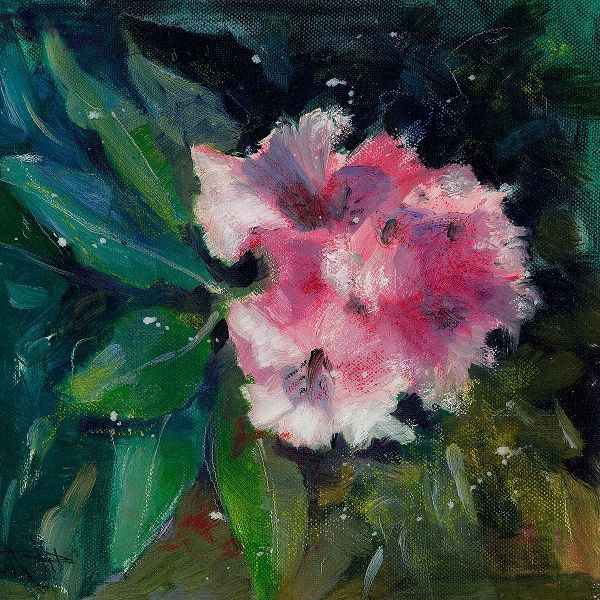 Doyle, Anne Farrall 아티스트의 Rhododendron Portrait II 작품