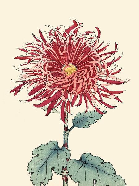 Unknown  아티스트의 Chrysanthemum Woodblock I 작품