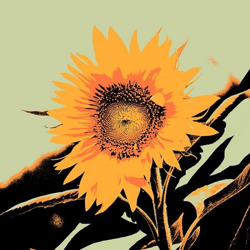 Green, Jacob 아티스트의 Pop Art Sunflower II 작품