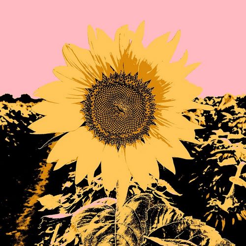 Green, Jacob 아티스트의 Pop Art Sunflower III 작품