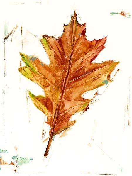 Harper, Ethan 아티스트의 Autumn Leaf Study II 작품