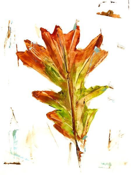 Harper, Ethan 아티스트의 Autumn Leaf Study IV 작품